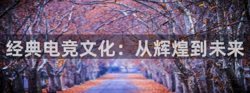 泛亚电竞对刷：经典电竞文化：从辉煌到未来