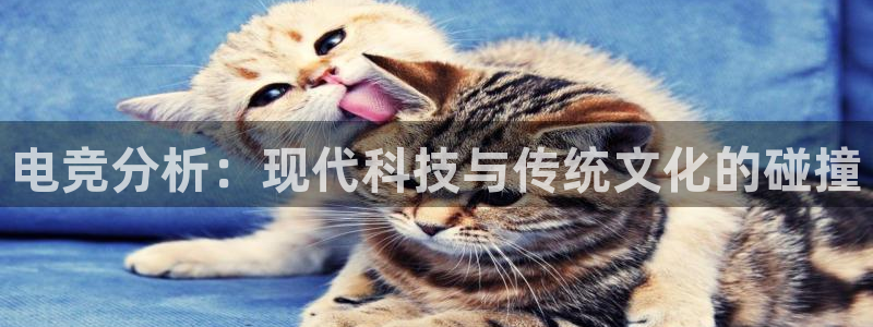 泛亚电竞手机端：电竞分析：现代科技与传统文化的碰撞