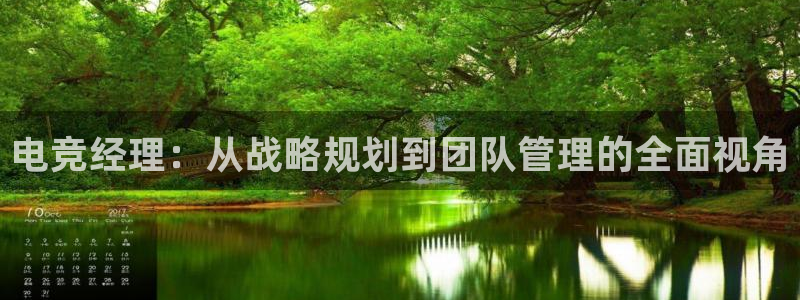 泛亚电竞平：电竞经理：从战略规划到团队管理的全面视角